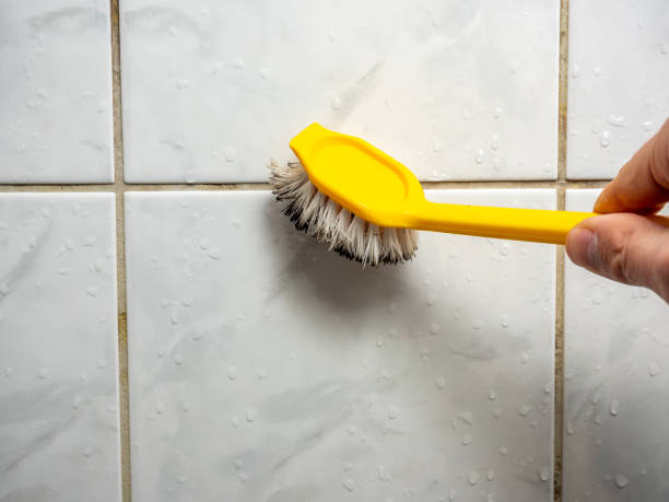 Best Black Mold Remediation in Howard, WI