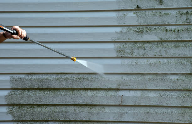 Best Industrial Mold Remediation in Howard, WI