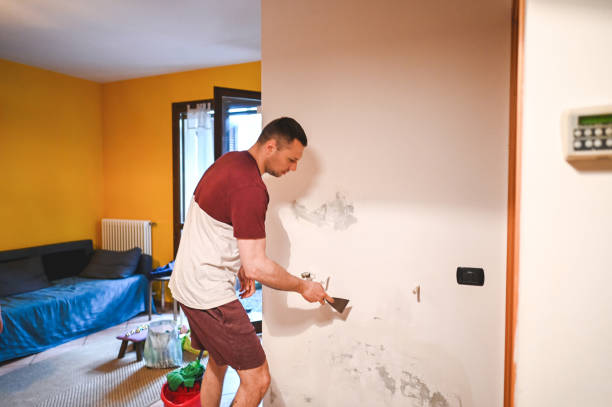 Best Post-Flood Mold Remediation in Howard, WI