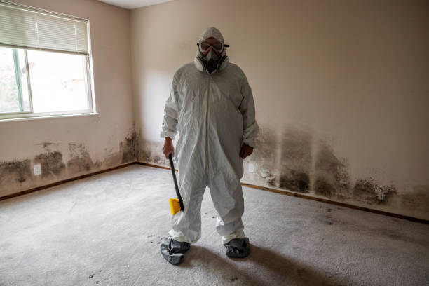 Best Mold Testing and Inspection Services in Howard, WI